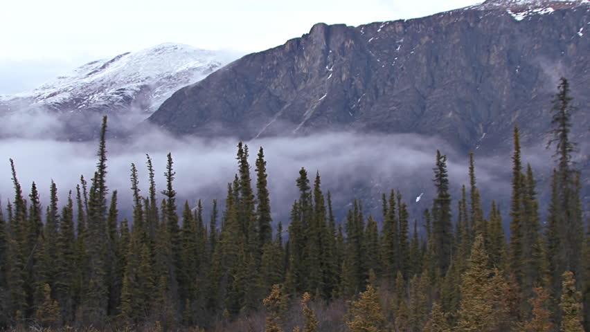 Low clouds and heavy mist creeping over the tundra/taiga/boreal forest in front