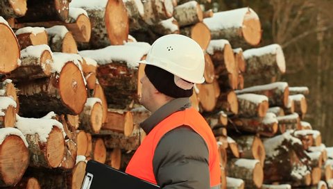 Lumberjack check log pile