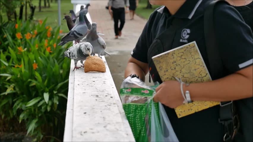Black jackets feeding birds on a bridge.