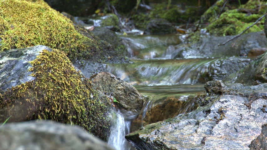 Small waterfalls in series down mossy rocks.