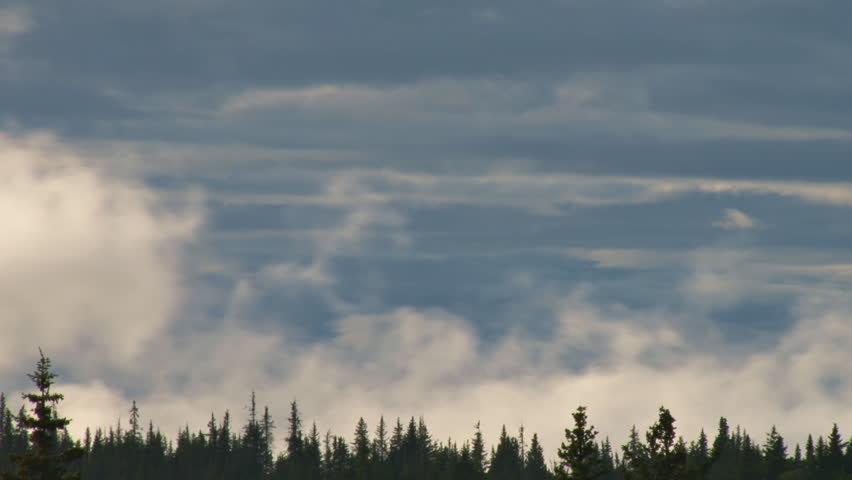Clouds moving in two directions at different levels with trees in the