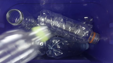 Recyclable plastic bottles are thrown in a blue recycle bin. Recycling concept.