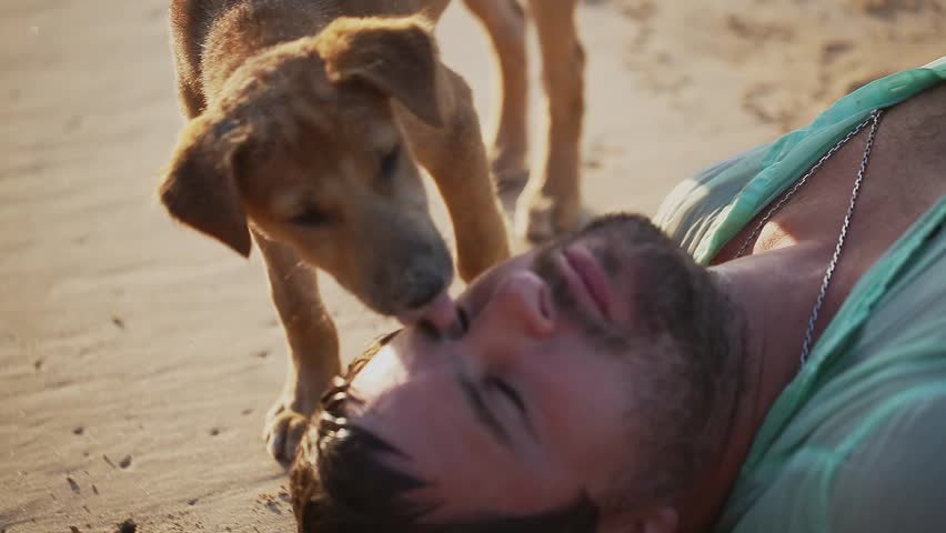 Depressed lost man lying on the beach and dog licking his face. Drama concept. Desert island. | Shutterstock HD Video #31177960