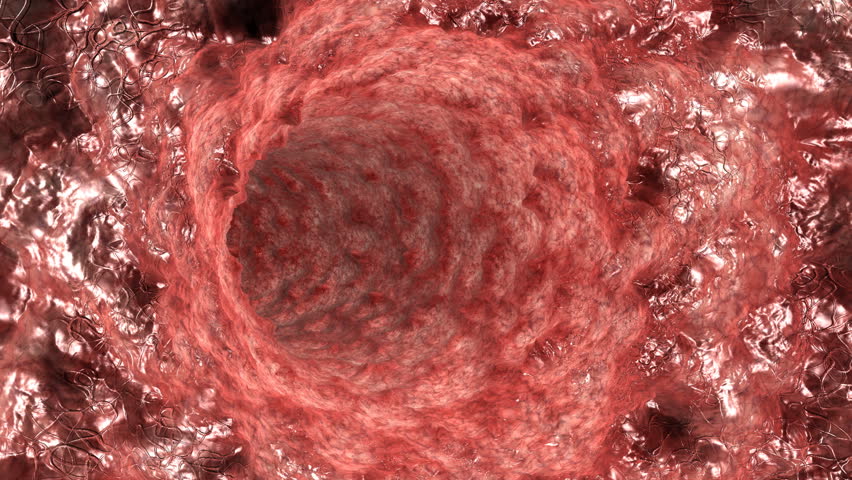 Inside Human Throat,seamless Loop Stock Footage Video (100% Royalty