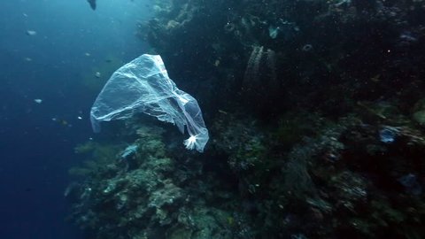 Plastic bag floating past coral reef wall underwater at Bunaken Island, Indonesia