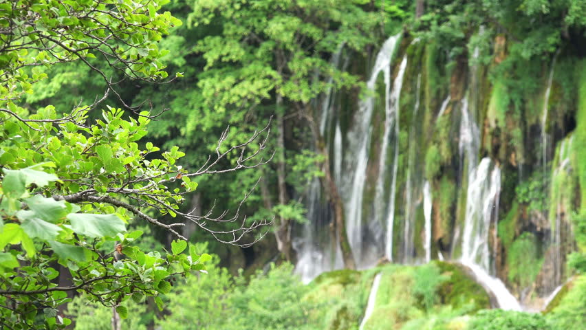 4K Scenic Waterfalls Landscape at Plitvice Lakes National Park, Croatia. (Focus on Branches) Ultra HD 3840x2160 Video Clip