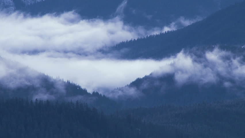 Time lapse of clouds rolling in and over thick, dense forest in the Pacific