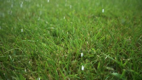 Water drops fall on the grass. Watering and rain recording in slow motion. Beautiful garden