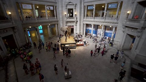 Steadicam looking down on the main entrance hall of the Smithsonian Museum of Natural History with the elephant as the centerpiece and surrounded by romanesque