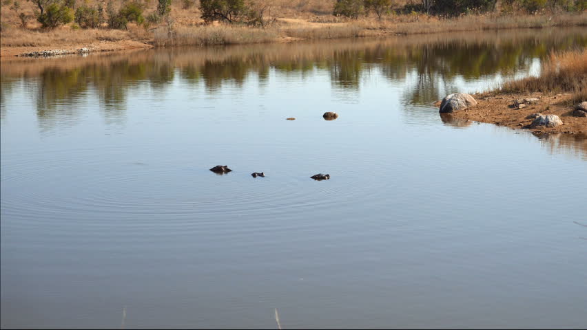 Aerial Timelapse of Table Mountain with cable car climbing to the observatory. In the background clouds starting to cover the mountain top. Also know as: Table cloth. in South Africa