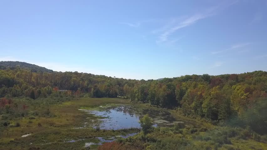 Beaver Pond