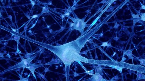 Neuronal and Synapse Activity animation. Electrical impulses inside the human brain. Blue.