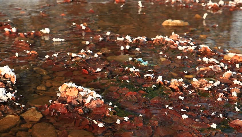 Closeup of a creek with few snowflakes on it