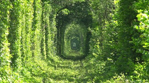 Unique Natural Tunnel of Love with Railway Road formed by Trees in Ukraine. Full HD 1920x1080 Video Clip