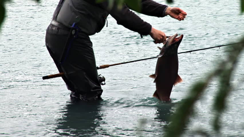 The Cruelty of Catch and Release Fishing