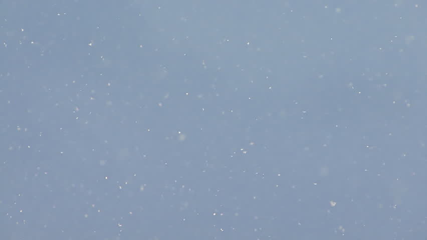 Snow flakes swirling in the air during a frilly light snowstorm in afternoon
