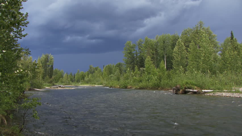 Ponderous thunderclouds over the cottonwood forest surrounding Montana Creek