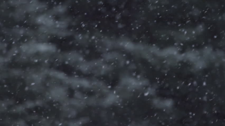 Snowfall in slow motion, snowflakes swirling against a backdrop of spruce trees