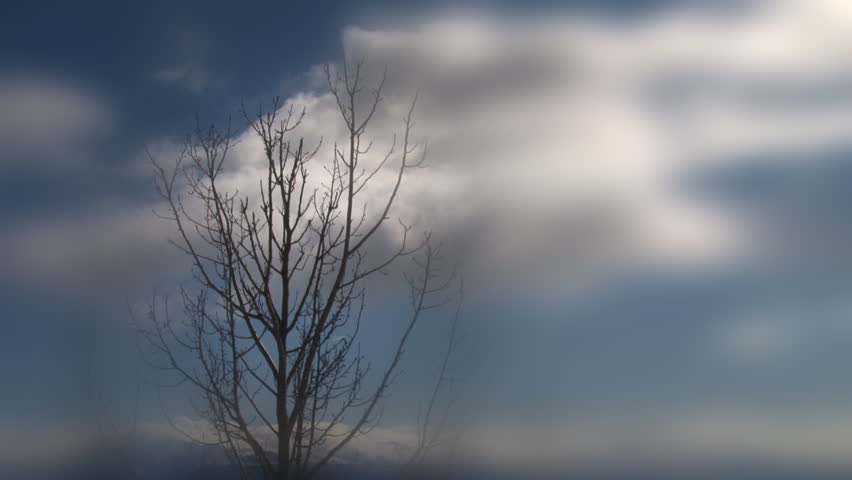 A stark leafless tree silhouetted against time lapse clouds with a portal blur