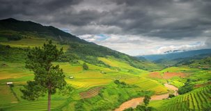 4k Time lapse and hyperlapse  video Rice field in Mu CANG CHAI valley, YEN BAI, Vietnam