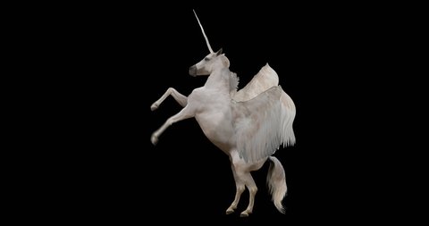 Pegasus and winged Unicorn rearing on a transparent background. Isolated and cyclic animation. Alpha channel.
