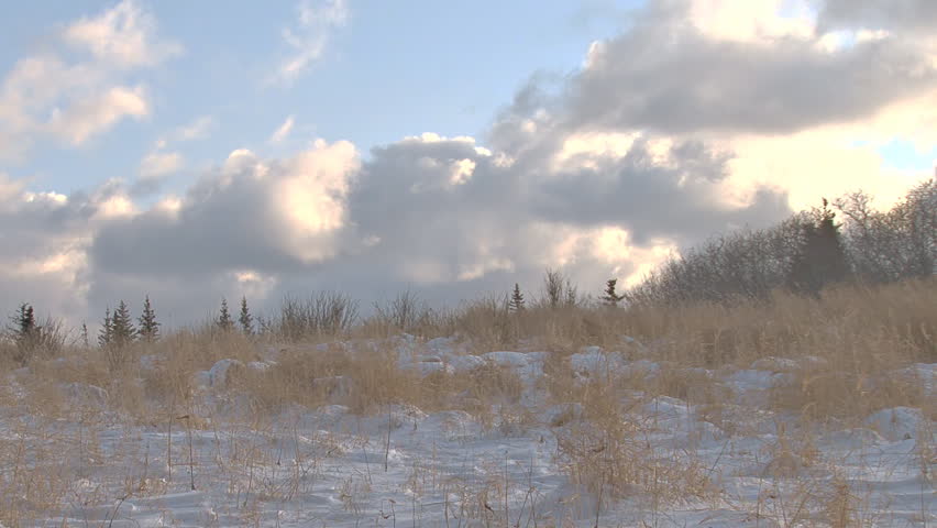 A brief passing of sunlight on the snowy meadow.
