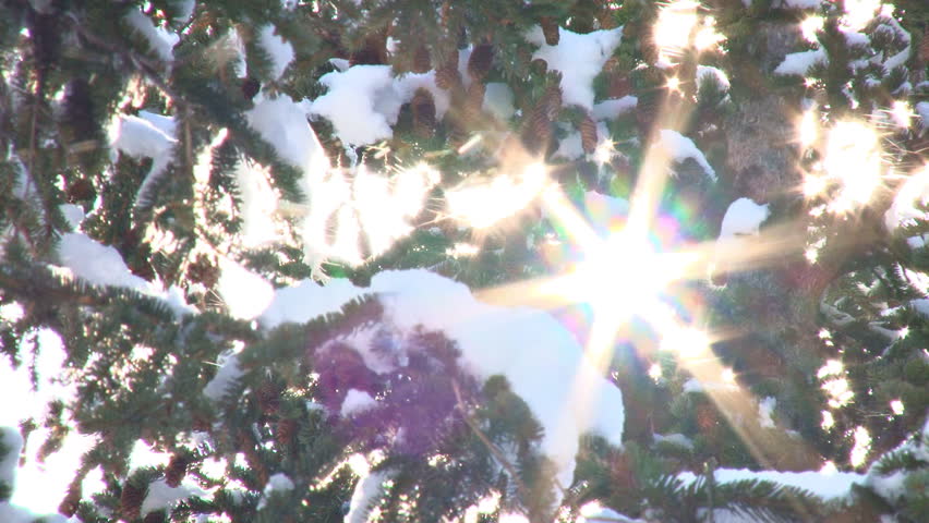 Dazzling sunlight illuminates fluttering ice and snow crystals and creates a