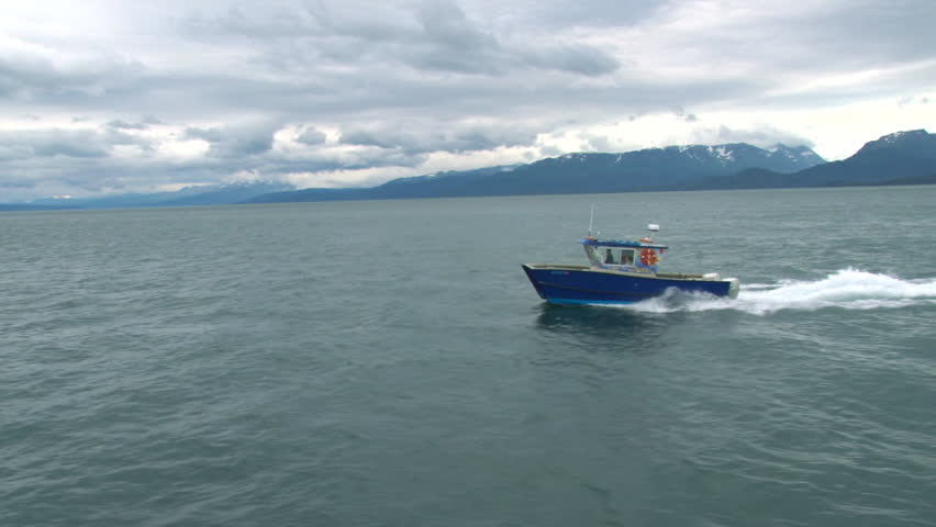 A group of small fishing boats heading off in different directions at high speed