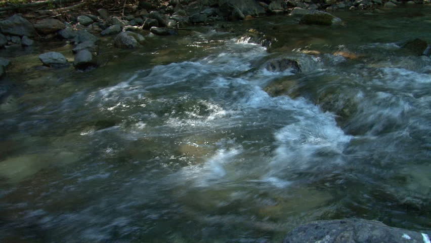 Close-up shot of fresh clear creek water running over rocks, tilting up and