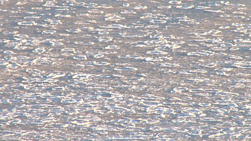 Sideways-illuminated, gently undulating sea ice on the surface of bay waters.