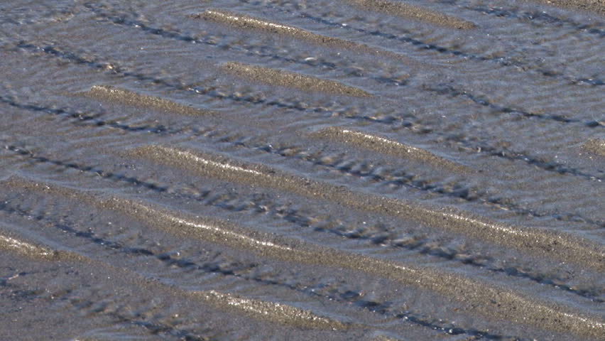 A strong wind over the beach at low tide creates ripples on the water trapped in