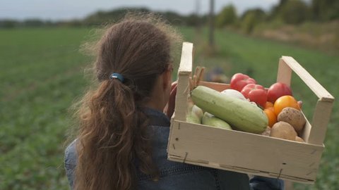 The farmer is holding a box of organic vegetables