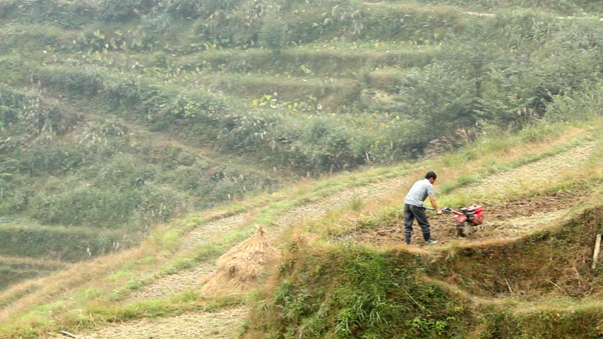 LONGSHENG, GUANGXI, CHINA - OCTOBER 23: Farmer working in terraced paddy field.