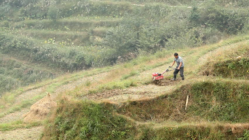 LONGSHENG, GUANGXI, CHINA - OCTOBER 23: Farmer working in terraced paddy field.