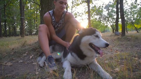 young caucasian male playing with his siberian husky dog in park in sunset light