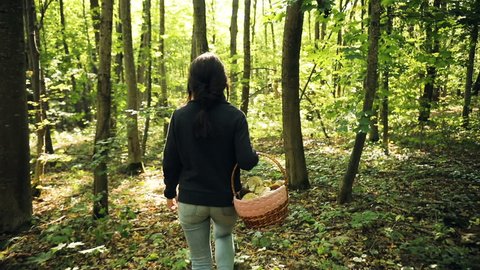 Women walking in the forest with full basket of mushrooms . Back view. Green forest background.