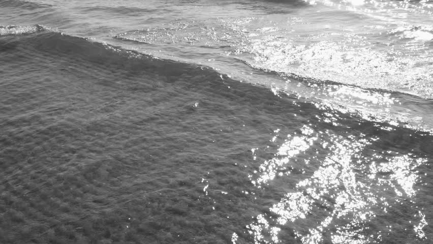 Tracking slow motion sunlit lake wave in shallow water. Black and white. Rippled sand pattern below. Lake Ontario. Summer at North Beach Provincial Park, Prince Edward County, Ontario, Canada.
