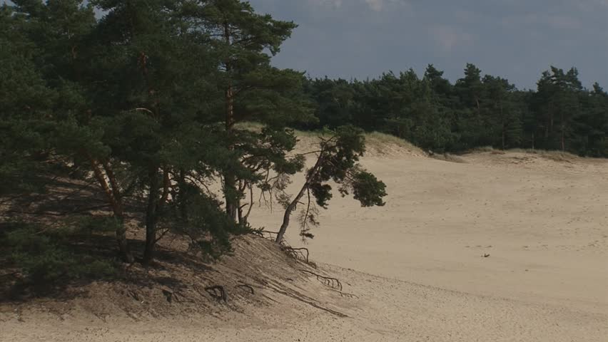 hold + zoom + pan drifting sand Hulshorsterzand + pan cumulus clouds sky. Europe