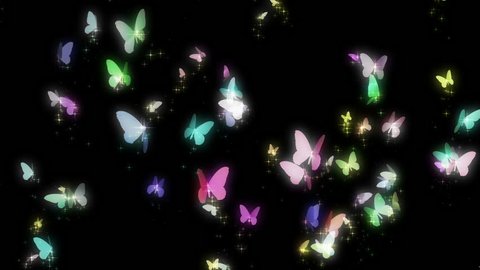 butterflies,colorful
