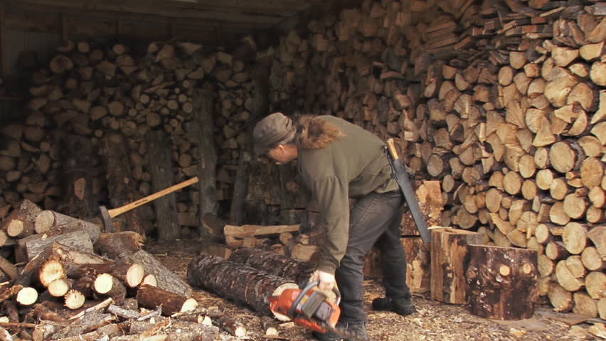 Slowly but surely, the woodshed fills up. Here, the woodcutter deposits log and
