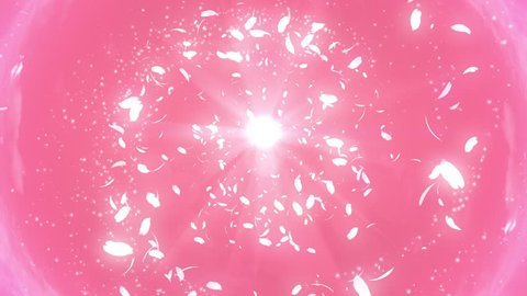 petal flying in the sky,pink background