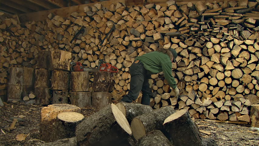 Man splitting spruce rounds in a woodshed while wearing a green shirt.