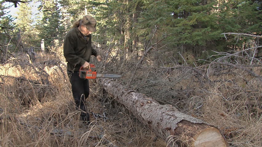 Man in forest removing limbs from downed tree before bucking it into portable