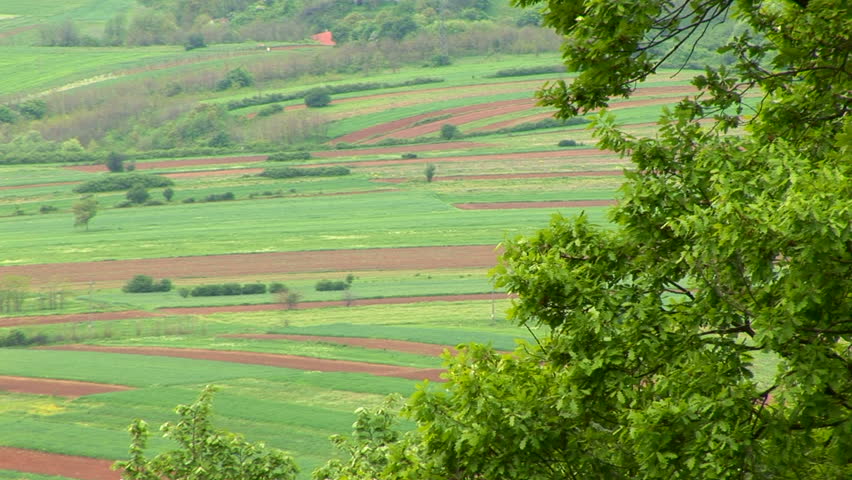 Plowed fields and meadows 
