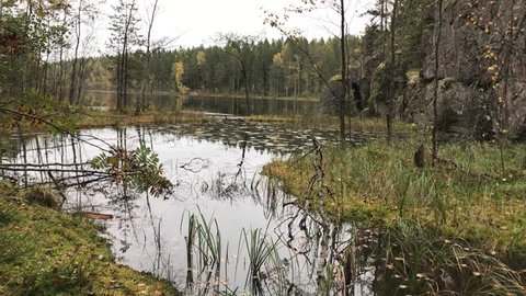 Autumn season in FFinland national park called Nuuksio. 