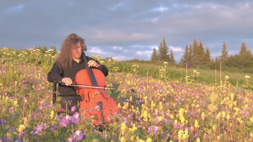 Closer shot of a male cellist playing his cello while sitting in a field of