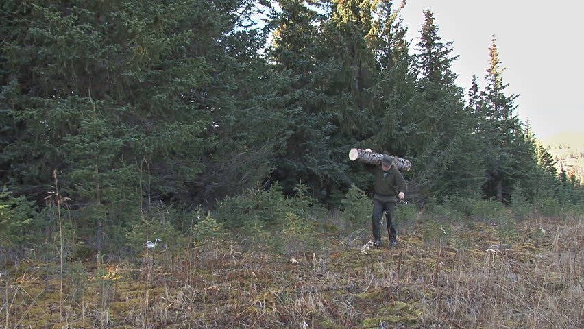 Man preparing for winter hauling wood out of forest.