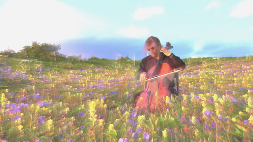 Some weird guy going off on his cello while sitting in a field of wildflowers