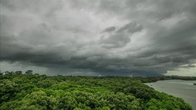 Time lapse Dark cloudy moving over the mangrove forest