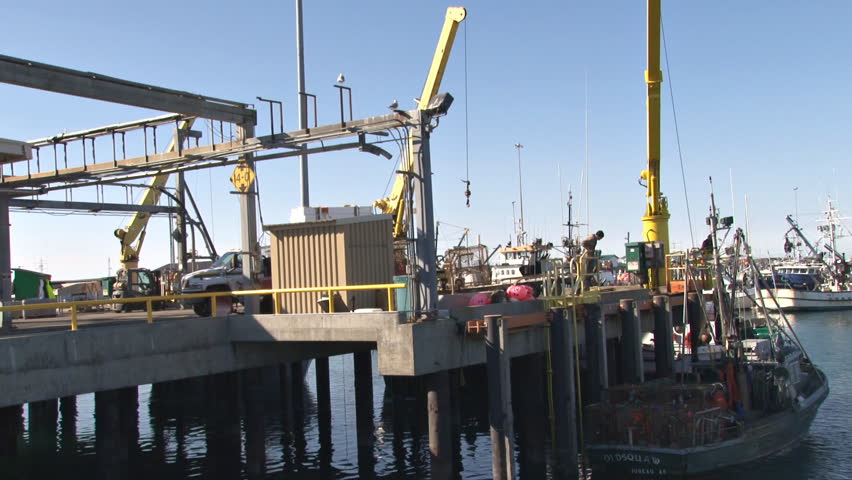 HOMER, AK - CIRCA 2011: Fish dock work day. One crane moves buoys from crab boat